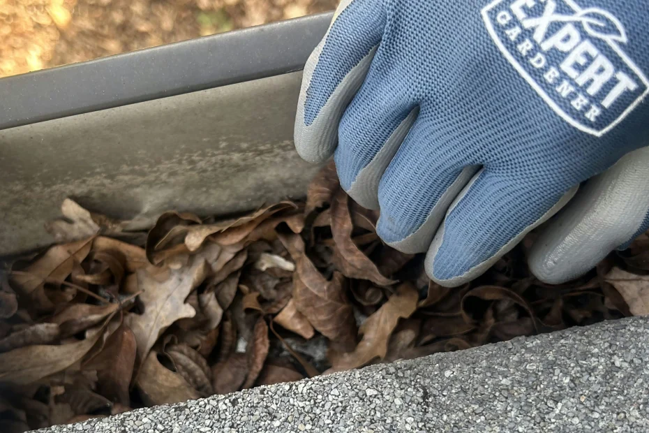 Gutter Cleaning Redbird