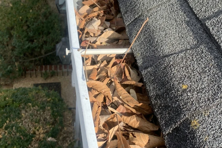 Gutter Cleaning Redbird