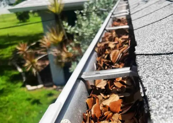 Gutter Cleaning Redbird home page